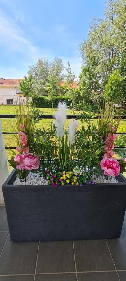 Apartament Le Cocon Du Leman Viry  Zewnętrze zdjęcie