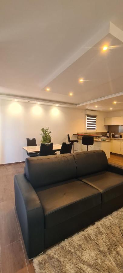 Apartament Le Cocon Du Leman Viry  Zewnętrze zdjęcie