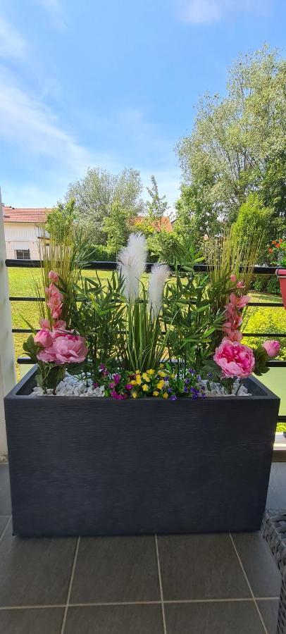 Apartament Le Cocon Du Leman Viry  Zewnętrze zdjęcie